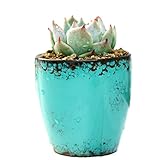 cosanter Mini crasas 7 x 7 cm Planta Artificial Flor Artificial de Decorativo con color macetas azul (No incluye plantas)