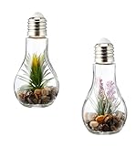 Juego de 2 bombillas LED suculentas, de cristal, 8 x 19 cm, decoración de plantas, verde, lámpara de techo