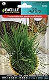Semillas Aromáticas - Hierba para gatos - Batlle
