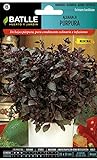 Semillas Aromáticas - Albahaca Púrpura - Batlle