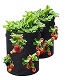 Tvird Bolsa para Plantas, 10Gallon Strawberry Plant Grow Bolsa con Asas, Bolsa Transpirable y Durable para Papas, Tomates y Fresas, Paquete de 2 (Negro)
