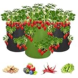 Bolsa para plantas de fresa, 43 litros, con asas y 8 bolsillos laterales de crecimiento, transpirable, para fresas y verduras, 3 unidades