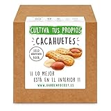Garden Pocket - Kit Cultivo Cacahuete
