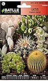 Semillas de Flores - Cactus Plantas Crasas variadas - Batlle